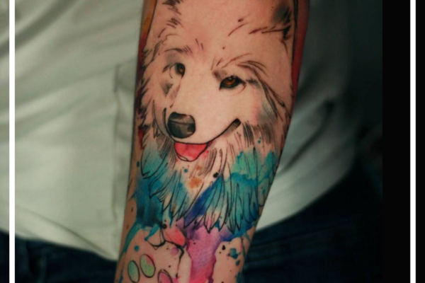 Ogłoszenie - Studio tatuażu, Tatuaże Wrocław - Da Vinci's Fox Tattoo - Wrocław - 350,00 zł