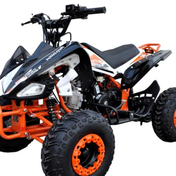 Ogłoszenie - quad 125cc KXD carbon sport koła 8 3biegi wsteczny pilot - 4 399,00 zł