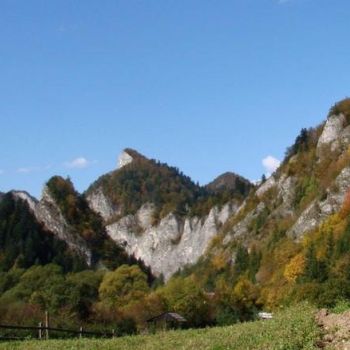 Ogłoszenie - Udany wypoczynek w Krościenku nad Dunajcem - 60,00 zł