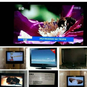 Ogłoszenie - Telewizor LCD-OKI-26/Телевізор LCD-OKI-26 Televizor LCD-OKI - 500,00 zł