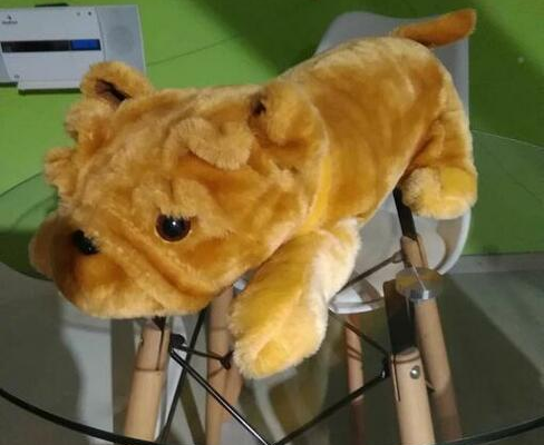 Ogłoszenie - Sprzedam Maskotkę Psa Buldog Okazja Polecam - 20,00 zł