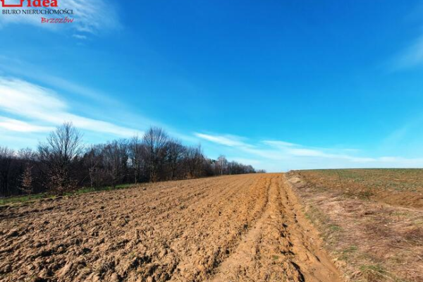 Ogłoszenie - Działka Malinówka gm. Haczów - 60 000,00 zł