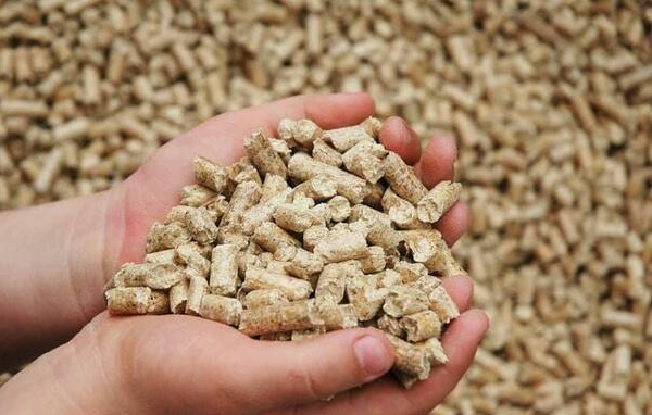 Ogłoszenie - Pasza brojler ekologiczna - 80,00 zł