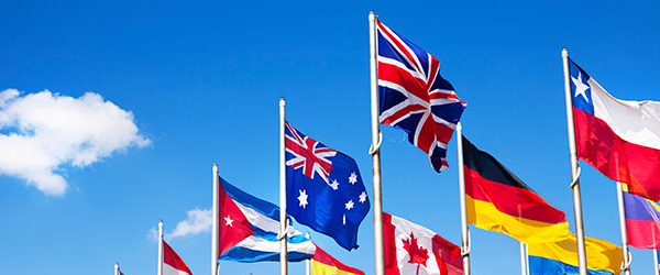 Ogłoszenie - Inwentaryzacja Niemcy Nowe terminy - 230,00 zł