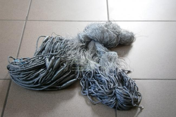 Ogłoszenie - Sieci rybackie, Drygawica Chińska, słęp - 77,00 zł