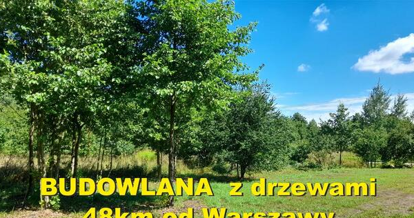 Ogłoszenie - 2000m2 BUDOWLANA /MPZP/, LASY, rezerwat... 48km od Warszawy - 195 000,00 zł