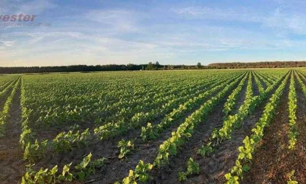 Ogłoszenie - Nawigacja rolnicza CHCNav RTK ISOBUS FJDynamics | John Deere | Trimble - Leszno - 26 000,00 zł