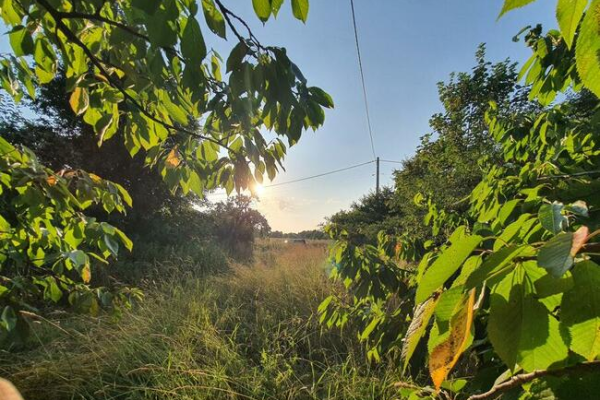 Ogłoszenie - Krzczonów koło Świdnicy, spokojna okolica