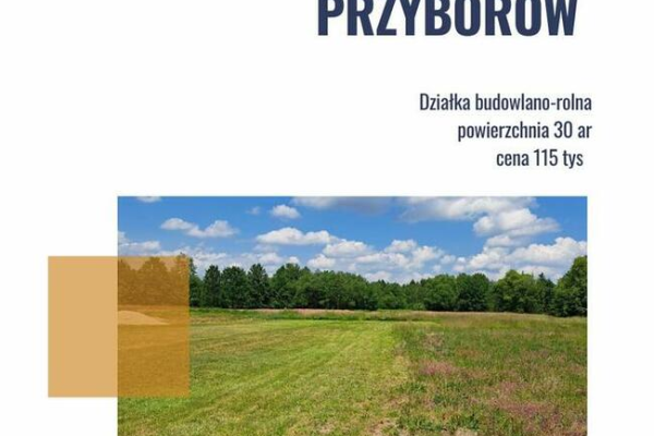 Ogłoszenie - Przyborów gm. Borzęcin działka budowlano-rolna 30 ar - 115 000,00 zł