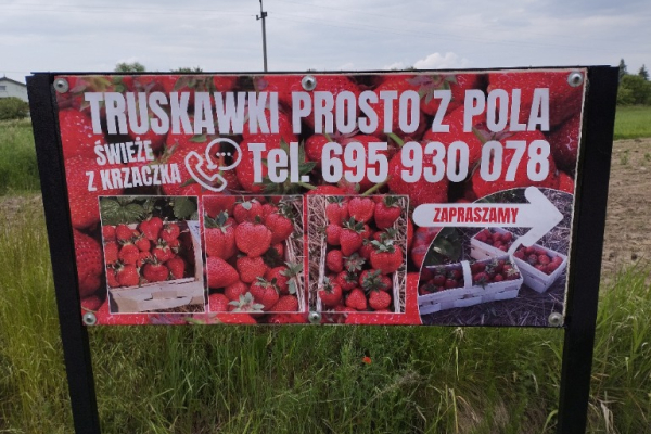 Ogłoszenie - wizytówki, ulotki, plakaty, banery druk i darmowy projekt - Łódź - 1,00 zł