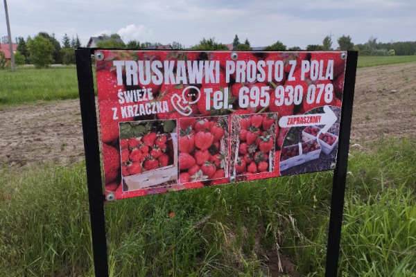 Ogłoszenie - wizytówki, ulotki, plakaty, banery druk i darmowy projekt - Łódź - 1,00 zł