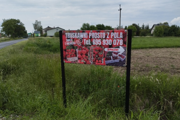 Ogłoszenie - wizytówki, ulotki, plakaty, banery druk i darmowy projekt - Łódź - 1,00 zł