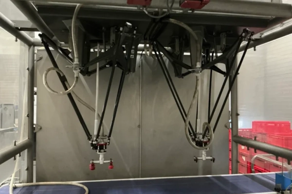 Ogłoszenie - Robot Pick and Place (nr 229) - Dębica - 25 830,00 zł