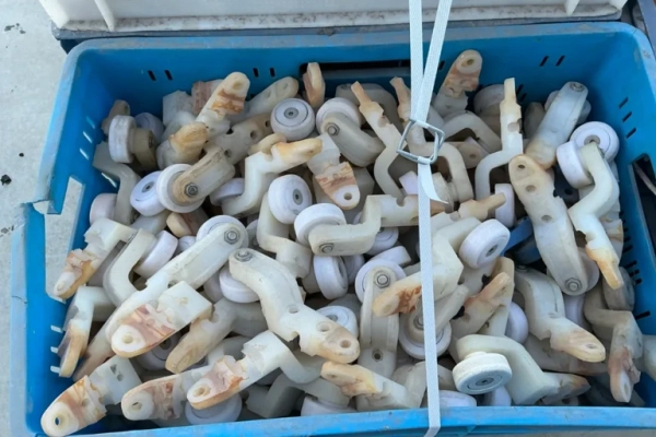 Ogłoszenie - Rolki do łańcucha przenośnika drobiowego - Dębica - 1 033,00 zł