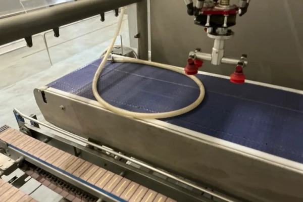 Ogłoszenie - Robot Pick and Place (nr 229) - Dębica - 25 830,00 zł