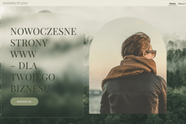 Ogłoszenie - Własna profesjonalna strona www - Kutno - 1,00 zł