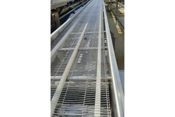 Ogłoszenie - taśmociąg z siatką metalową 7,9 mb (nr 229, L-19) - Dębica - 10 332,00 zł