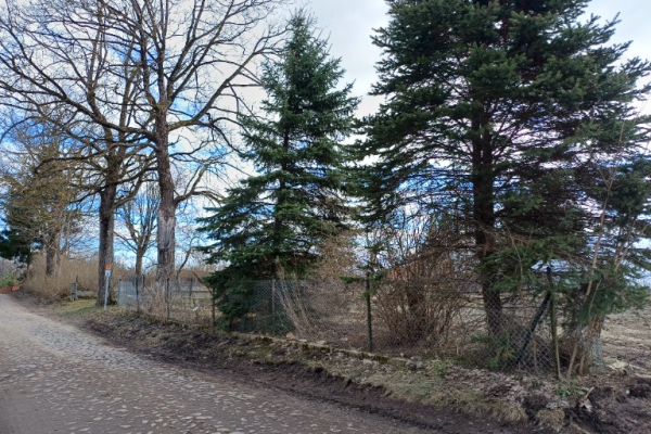 Ogłoszenie - Działka na mazurach 43 ary - Giżycko