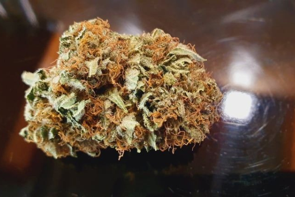 Ogłoszenie - Marihuana 26%thc watermelon zkittlez - Tarnów - 300,00 zł
