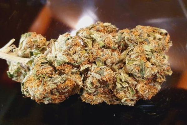 Ogłoszenie - Marihuana 26%thc watermelon zkittlez - Tarnów - 300,00 zł
