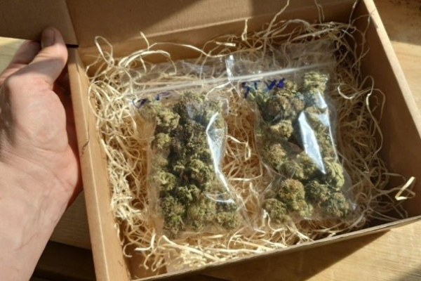 Ogłoszenie - Marihuana 26%thc watermelon zkittlez - Tarnów - 300,00 zł
