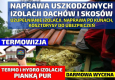 Ogłoszenie - Ocieplenia Pianą PUR Ocieplanie Celulozą Naprawa Po Kunach Pianka PUR - Staszów