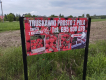 Ogłoszenie - wizytówki, ulotki, plakaty, banery druk i darmowy projekt - Łódź - 1,00 zł
