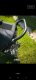 Ogłoszenie - Baby jogger city mini gt2 - Luboń - 900,00 zł