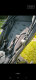 Ogłoszenie - Baby jogger city mini gt2 - Luboń - 900,00 zł
