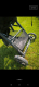 Ogłoszenie - Baby jogger city mini gt2 - Luboń - 900,00 zł
