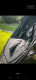 Ogłoszenie - Baby jogger city mini gt2 - Luboń - 900,00 zł