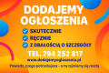 Ogłoszenie - Reklama w internecie - lokalna lub ogólnopolska, nawet na 800 portalach