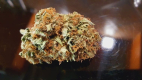 Ogłoszenie - Marihuana 26%thc watermelon zkittlez - Tarnów - 300,00 zł