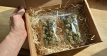 Ogłoszenie - Marihuana 26%thc watermelon zkittlez - Tarnów - 300,00 zł