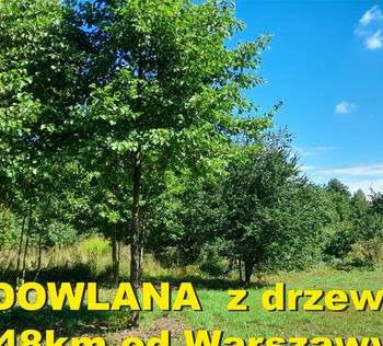 Ogłoszenie - 2000m2 BUDOWLANA /jest MPZP/, 48km od Warszawy, ECO miejsce! - 195 000,00 zł