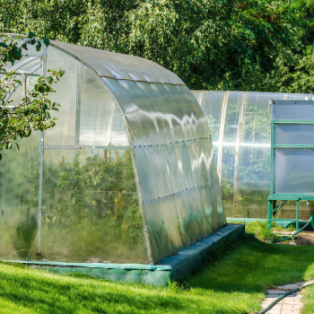 Ogłoszenie - Zatrudnię mężczyznę w gospodarstwie rolnym - 4 200,00 zł