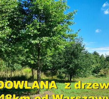 Ogłoszenie - 2000m2 BUDOWLANA /MPZP/, LASY, rezerwat... 48km od Warszawy - 195 000,00 zł