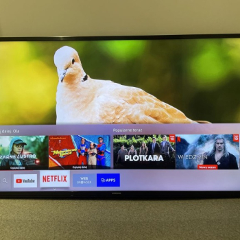 Ogłoszenie - Samsung 43 Smart TV UHD 4K HDR 1300Hz WiFi DVB-T2 Netflix Disney - Żory - 899,00 zł