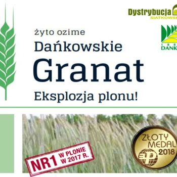 Ogłoszenie - Kwalifikowane nasiona żyta ozimego Dańkowskie Granat C/1 - 1 700,00 zł