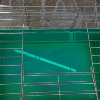 Ogłoszenie - Sprzedam Dużą Klatke Dla Gryzonia Okazja Polecam - 70,00 zł