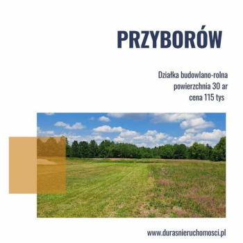 Ogłoszenie - Przyborów gm. Borzęcin działka budowlano-rolna 30 ar - 115 000,00 zł