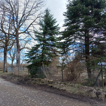 Ogłoszenie - Działka na mazurach - Giżycko