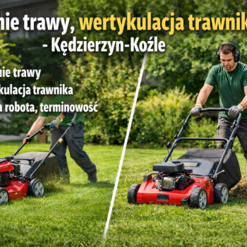 Ogłoszenie - Koszenie trawy i wertykulacja trawnika  Kędzierzyn-Koźle - Kędzierzyn-Koźle