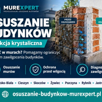 Ogłoszenie - Osuszanie budynków Rybnik - usuwanie wilgoci i grzyba ze ścian - Rybnik